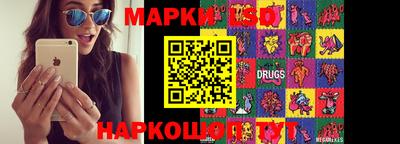 шишки Заволжье