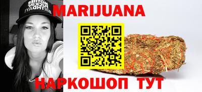 шишки Заволжье