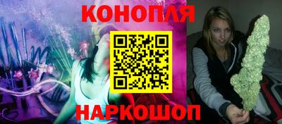 шишки Заволжье