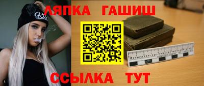 шишки Заволжье