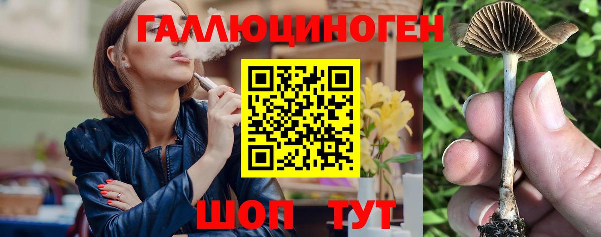 Галлюциногенные грибы прущие грибы Майский
